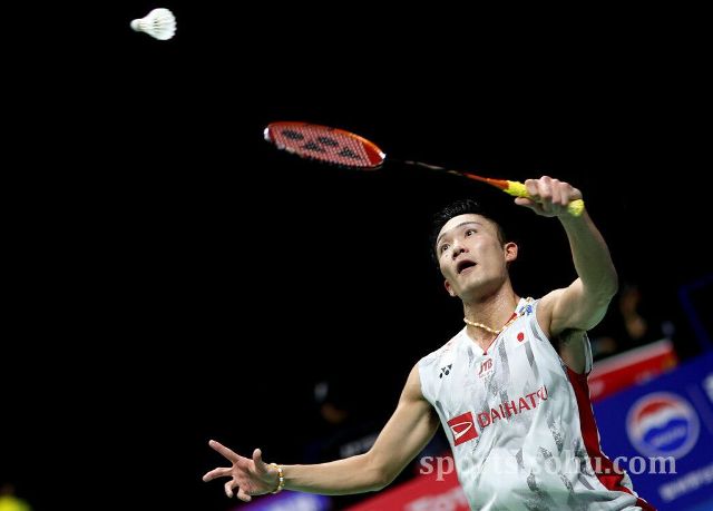 世界杯夺冠 世界杯夺冠