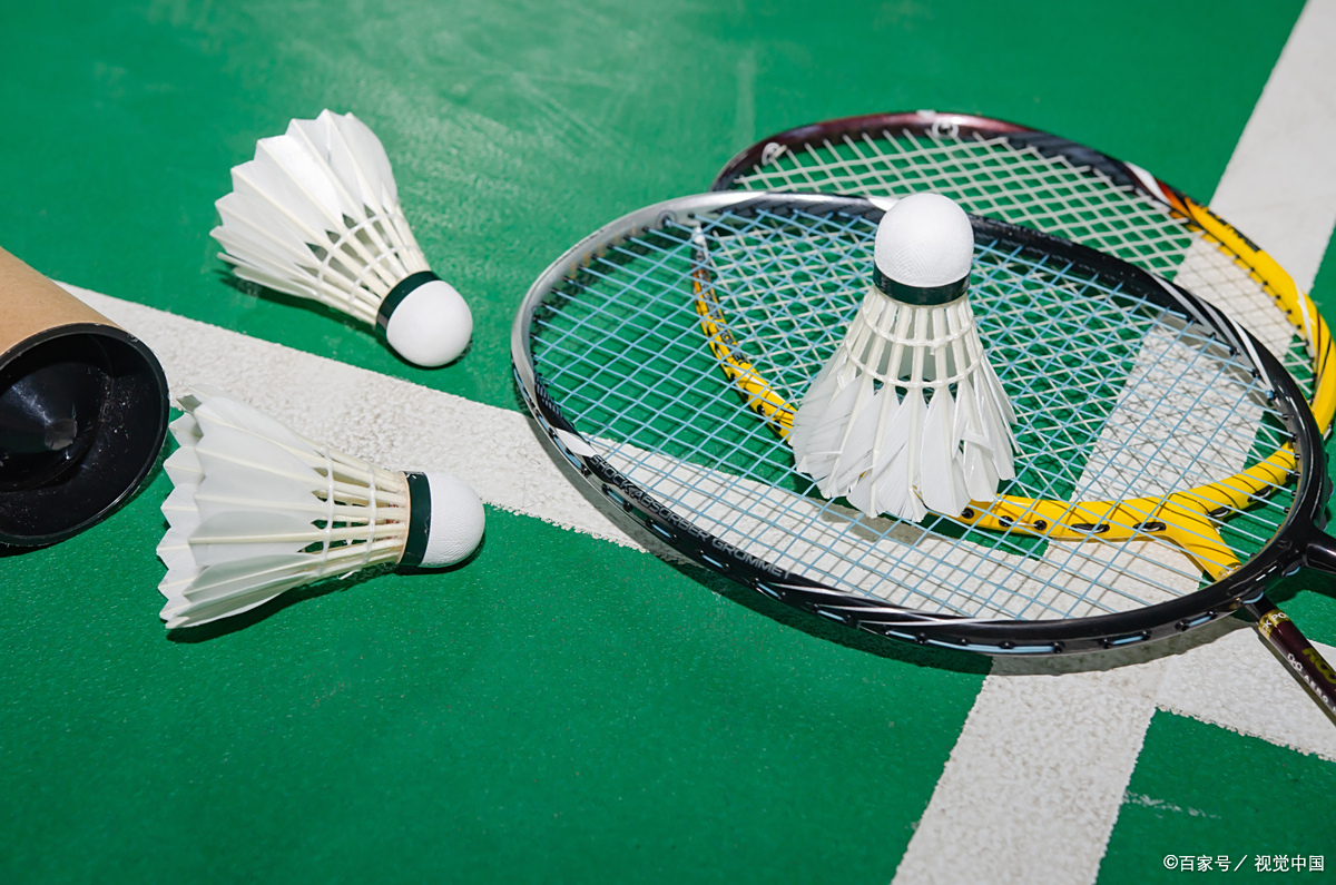 在开局阶段 在开局阶段